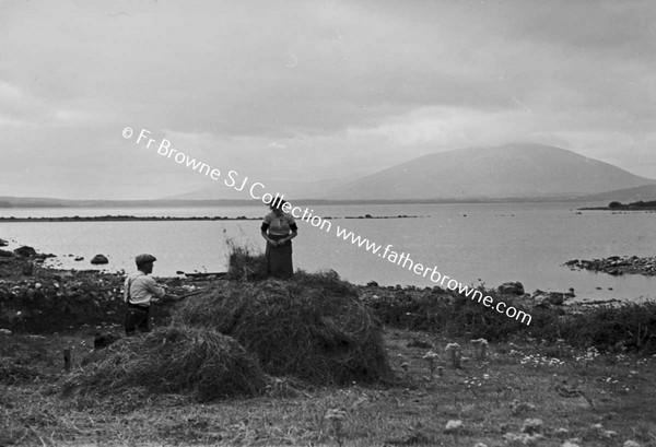 HAY MAKING NEAR LOUGH CONN